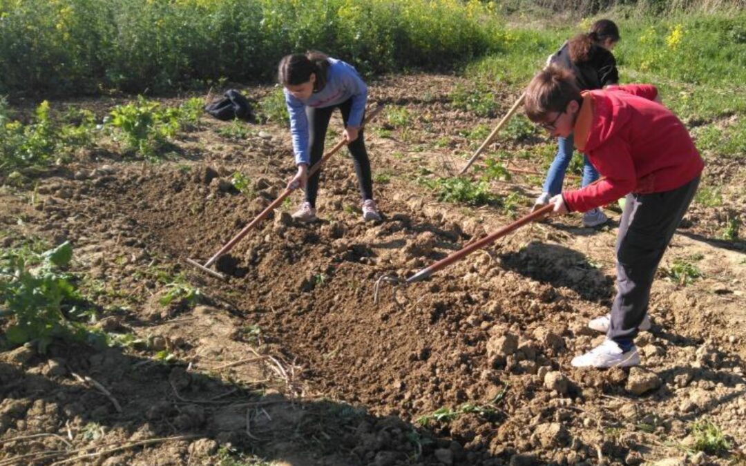Jardins partagés : Suivez les actions à venir