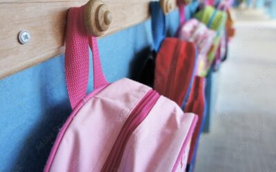 Mouvement de grève du 2 décembre : le point sur les ouvertures et fermetures des écoles, ALAE et service de restauration