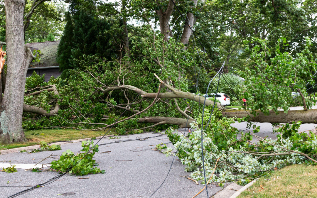 Tempête Nils : restons vigilants