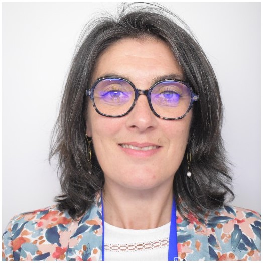 blason auzeville tolosane