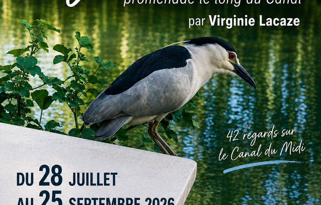 Exposition à la médiathèque Mireille Soulé : « Ligne d&rsquo;eau, 42 regards sur le Canal du Midi »