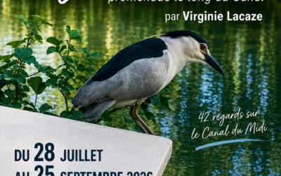 Exposition à la médiathèque Mireille Soulé : « Ligne d&rsquo;eau, 42 regards sur le Canal du Midi »